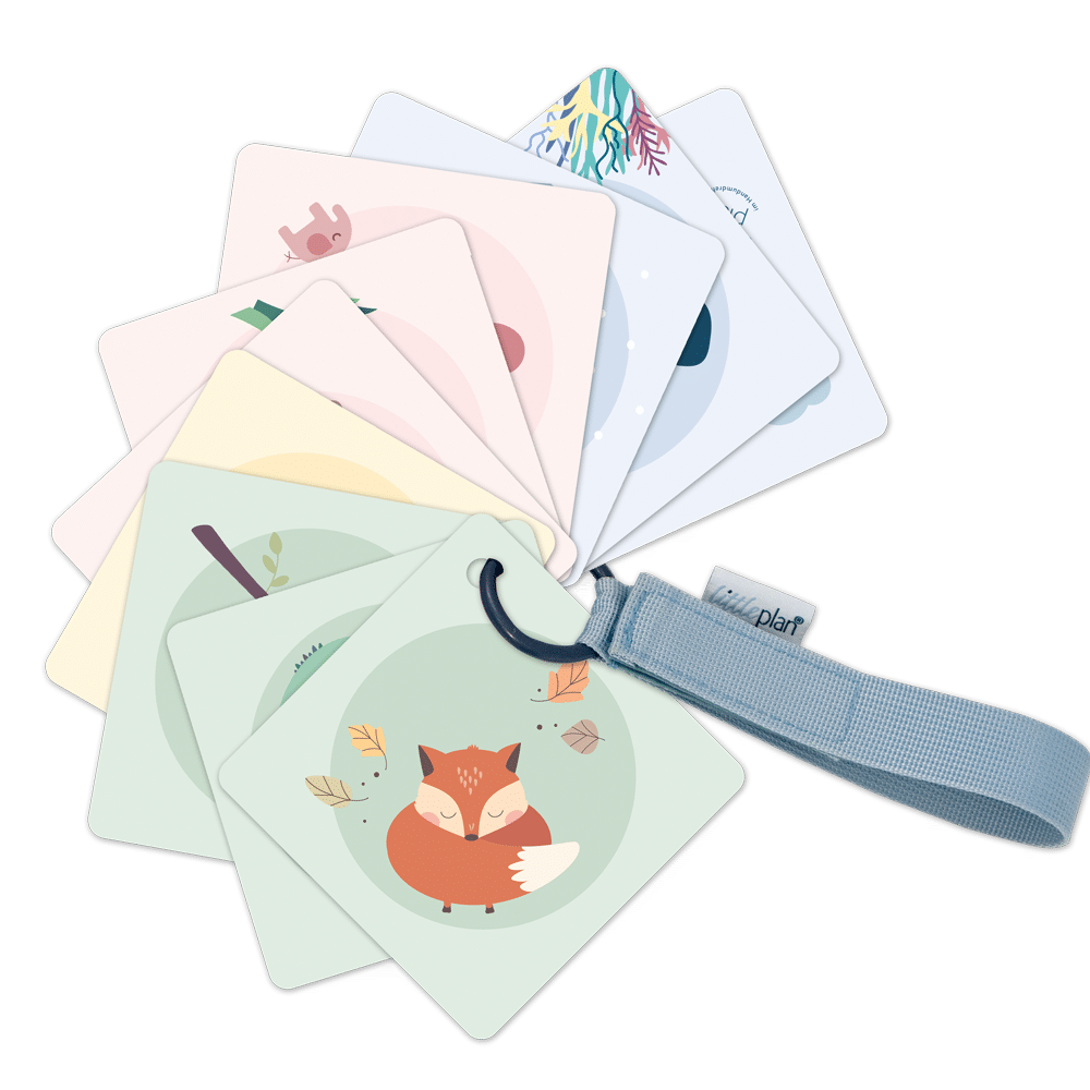 Buggyplan® (2. Wahl)