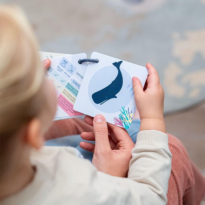 Set: drinnen und draußen