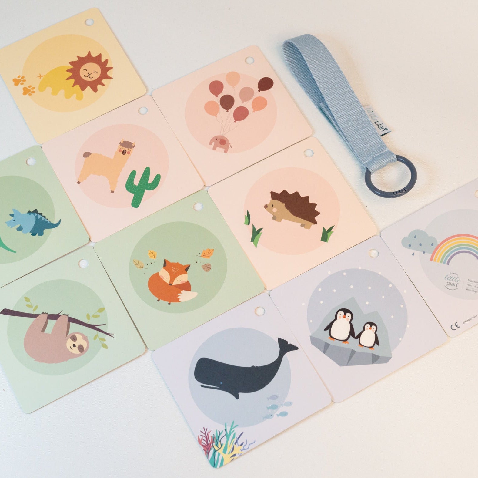 Buggyplan Rückseite